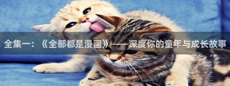 喵趣网页