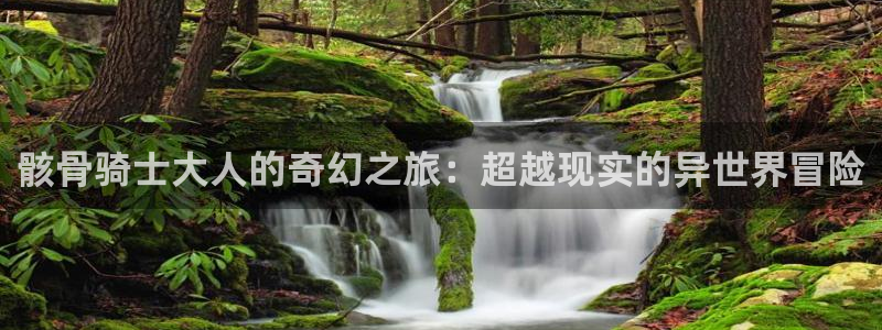喵趣漫画修好了吗?：骸骨骑士大人的奇幻之旅：超越现实的异世界冒险