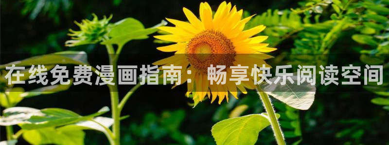 喵趣看：在线免费漫画指南：畅享快乐阅读空间