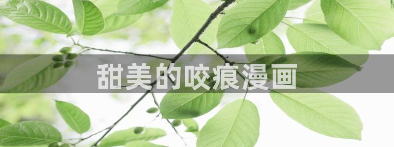 喵趣漫画最新版本2026：甜美的咬痕漫画