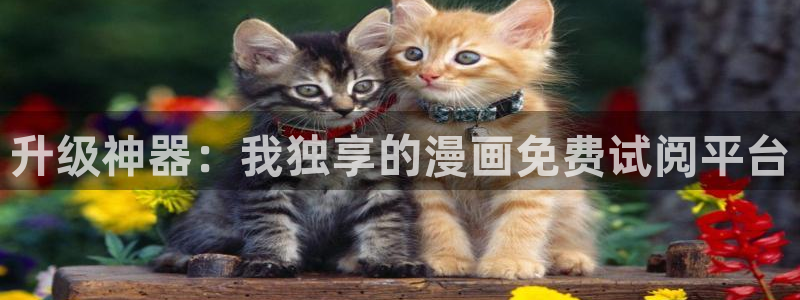 喵趣漫画app下载