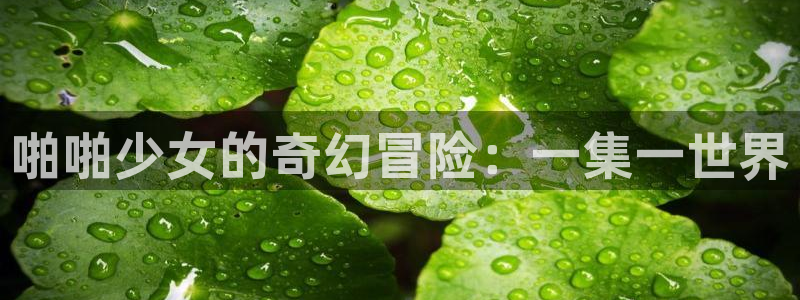喵趣漫画官网首页