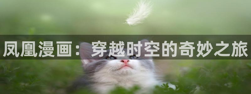 喵趣漫画纯净版怎么下载