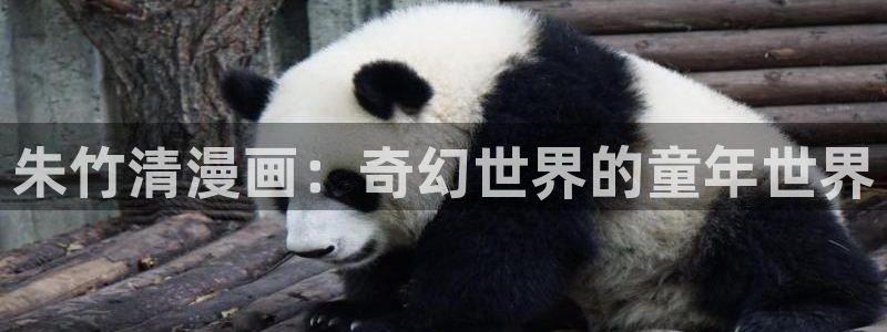 www.喵趣top