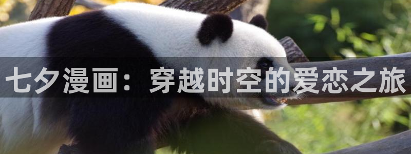 喵趣漫画下载最新版本