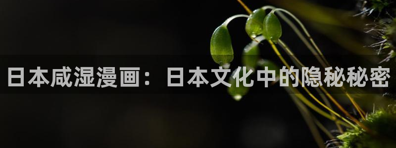 喵趣漫
